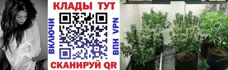 Наркота Выборг Марихуана Cocaine A-PVP Амфетамин ГАШИШ