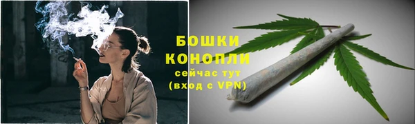 твердый Верхний Тагил