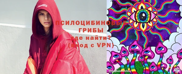 твердый Верхний Тагил
