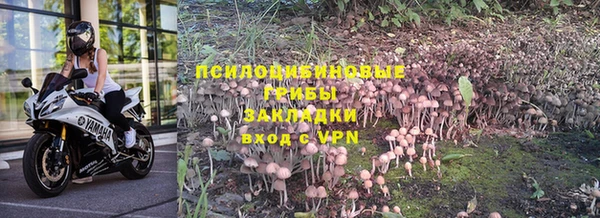 твердый Верхний Тагил