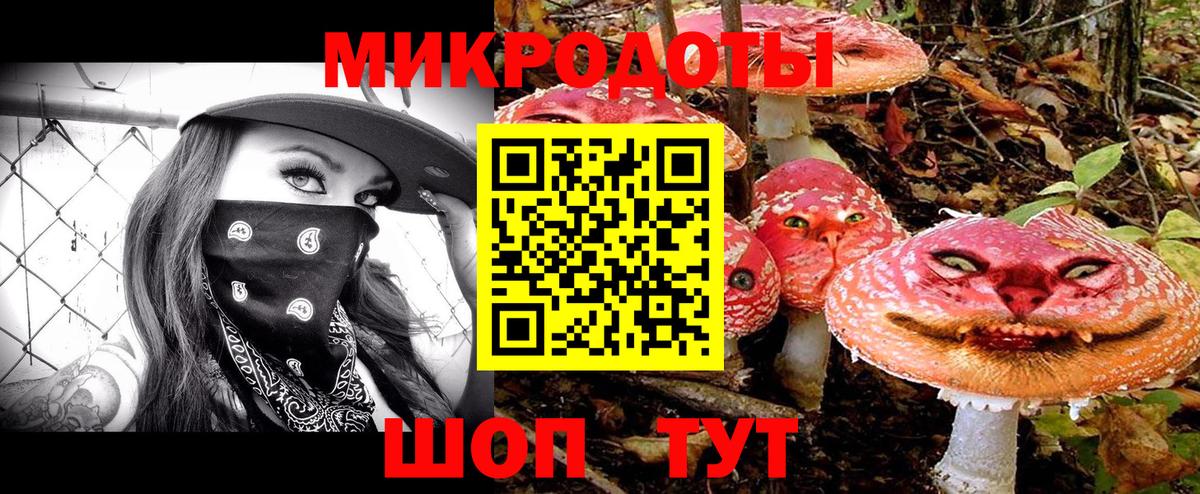 Псилоцибиновые грибы GOLDEN TEACHER  Псилоцибиновые грибы мицелий  Выборг  Вход с VPN 