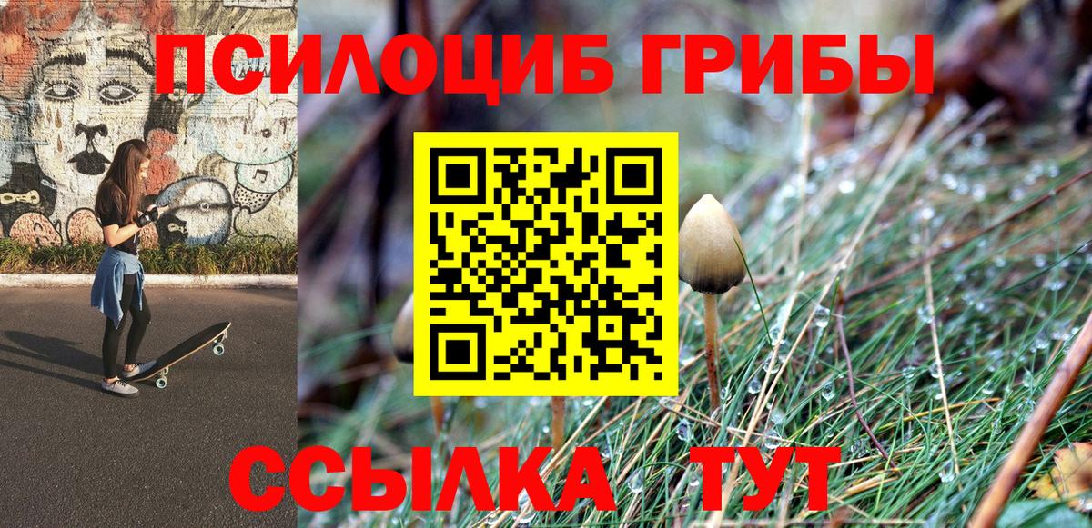 Псилоцибиновые грибы Psilocybine cubensis Выборг